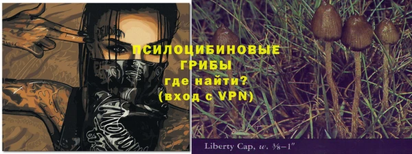 сатива Бронницы