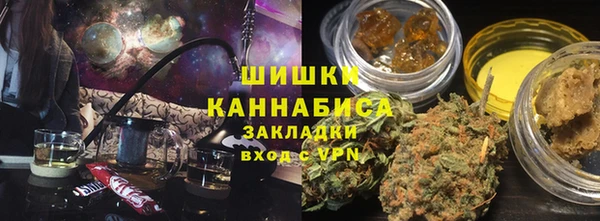 сатива Бронницы