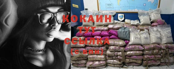 2c-b Бородино