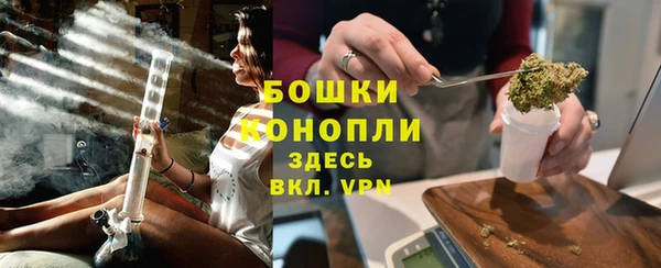 сатива Бронницы