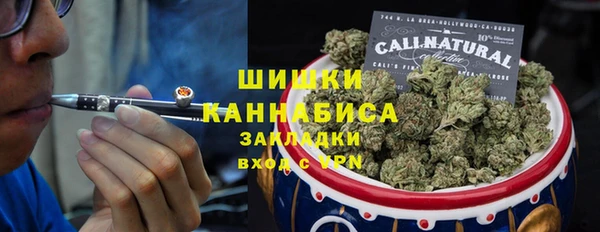 сатива Бронницы