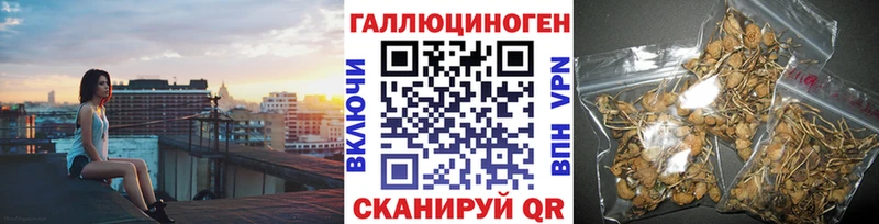 где купить наркоту  Десногорск  Галлюциногенные грибы Cubensis 
